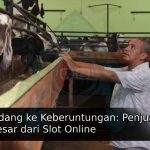 artikel (3)