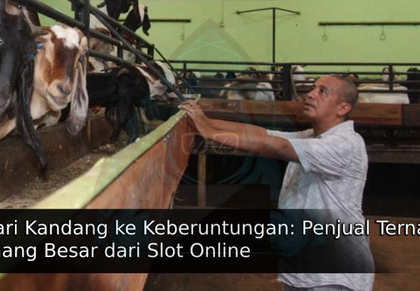 artikel (3)